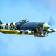 SP1 Warren Farmer Hawker Tempest-DSC_1536