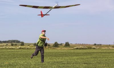 Great Gliders