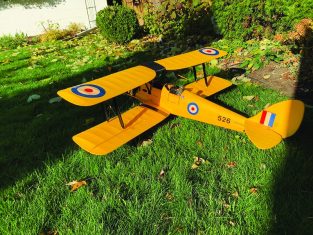 Pilot Projects - Tiger Moth