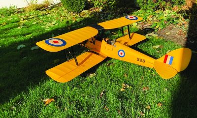 Pilot Projects - Tiger Moth