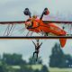 It Is Showtime - The Baby Breitling Wingwalking Team