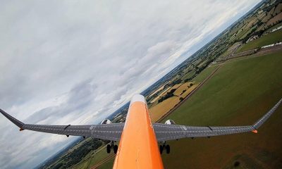 Will Flapping Wingtips Enhance Aerodynamic Performance?