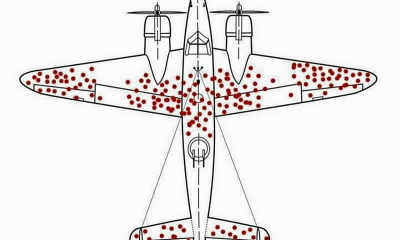 Why Armor Was Added to Fighters Where Bullet Holes Were Not Found