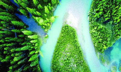 Eye in the Sky - Getting Started In Aerial Photography