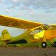 Brodak Dare Aeronca Champ