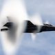 The Navy’s Blue Angels, Air Force Thunderbirds, F-35 and Others Wow the Crowds at U.S. Airshows!