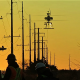FulcrumAir Installs 1,500 Bird Flight Diverters Using Drones to Protect Energy Infrastructure and Avian Wildlife