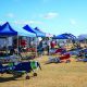 Military Might - The Dino DiGiorgio Sr. Memorial Warbird Rally