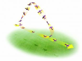 Triangle Loop with Rolls - Add some spice to your flight routine!