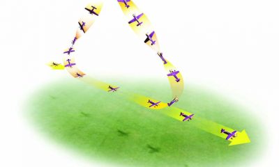 Triangle Loop with Rolls - Add some spice to your flight routine!