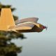 Ukraine Deploys Australian Cardboard Drones for IRS and Attack