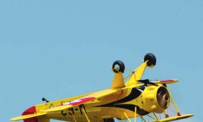 The Immelmann & Cuban-8 - Steps to master these classic aerobatic moves
