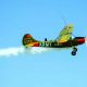 Legend Hobby - L-19 Bird Dog - Big and Impressive, This is a Blast to Fly!