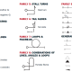 The Aresti Code