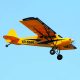 The Seagull Models Savage Shock Cub from Legend Hobby on a low, slow flyby.