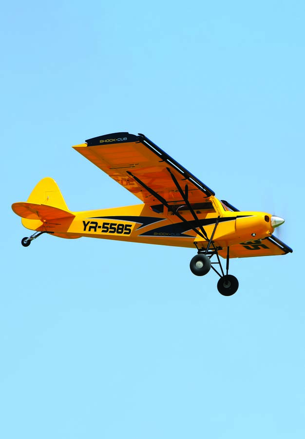 The Seagull Models Savage Shock Cub from Legend Hobby on a low, slow flyby.