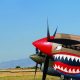 Top 10 Warbirds