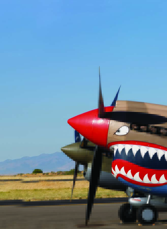 Top 10 Warbirds