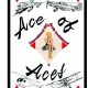 Introducing Ace of Aces - A New Scale Competition