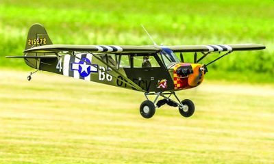 Seagull Models 90” L-4 Grasshopper