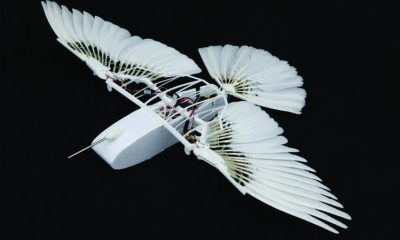The Pigeon-Bot is made from real bird feathers along with tiny propellers for propulsion and a flexible tail.