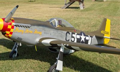 Painting a Warbird