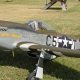 Painting a Warbird