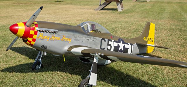 Painting a Warbird