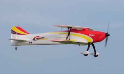 Durafly Carbon Arcus