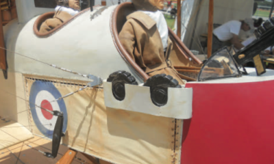 A Static Judge’s Perspective